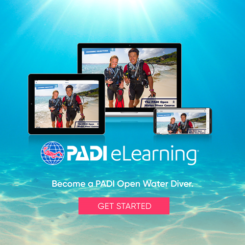 Open Water Diver eLearning
